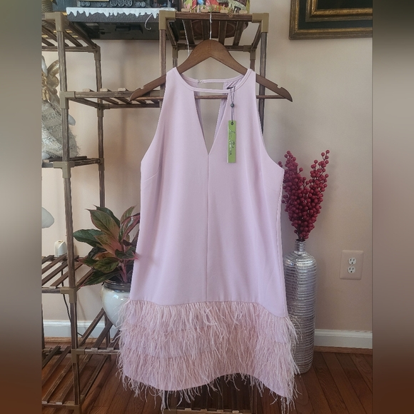 Sam Edelman Pink Mini Dress Real Feather NWT Sz 6